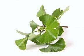 ginkgo biloba para agrandar o pene